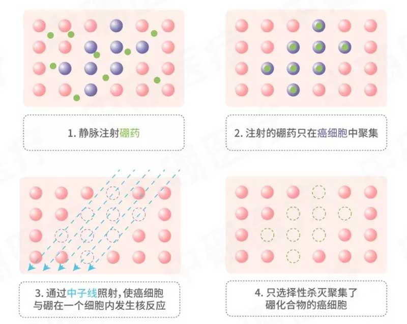 硼中子俘获治疗的药物